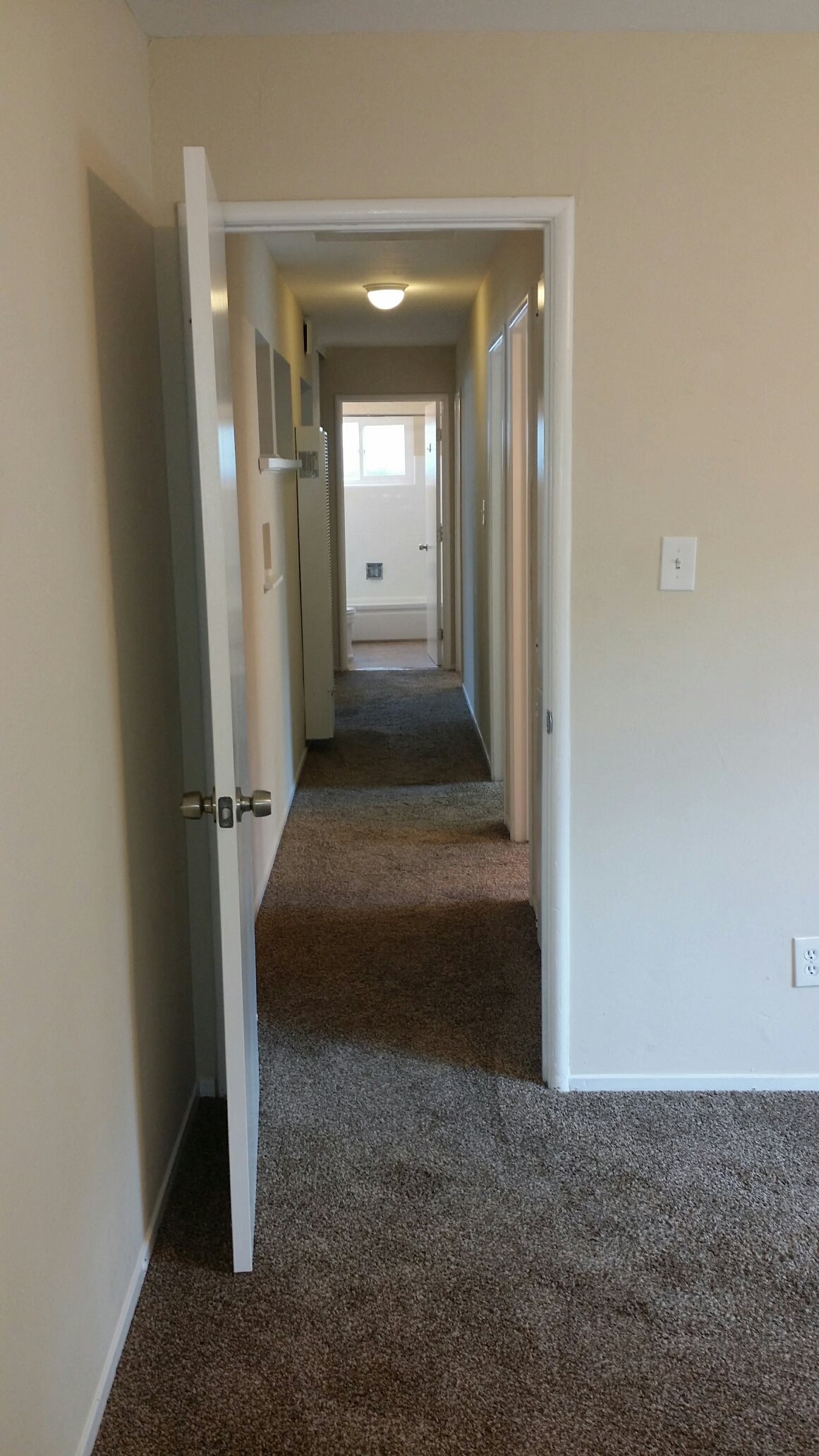 Gallery Photo 11